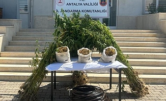 Jandarmadan ormanlık alana uyuşturucu operasyonu