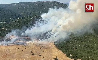 Kaş'ta orman yangını başladı