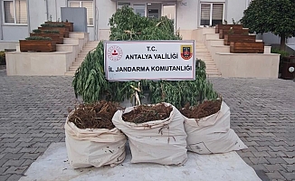  Serik’te jandarmadan uyuşturucu operasyonu: 3 gözaltı