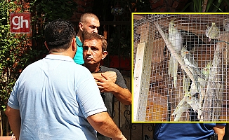  Antalya’da turistik işletmede ‘papağan’ gerginliği