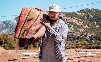 Halı tarlalarında güneşin soldurduğu milyonluk halıların hasatı başladı