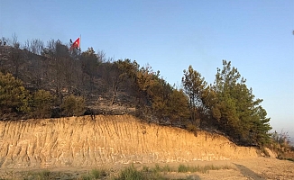  Aksu'da orman yangını