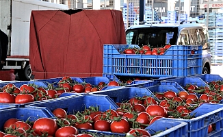 Antalya'da domates miktarı azaldı, sebze miktarı arttı