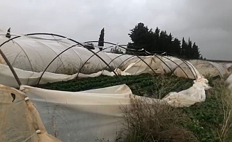 Antalya’da şiddetli yağmur ve fırtına çilek seralarına zarar verdi