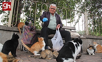  Sokak kedilerinin 'Kedici babası'