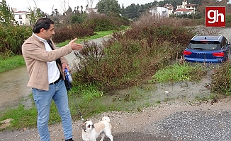 Havlayan köpeği dikkatini dağıtınca şarampole uçarak suya daldı