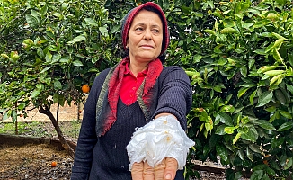 Yumurta toplamak için bahçeye giren kadın, dobermanın saldırısına uğradı