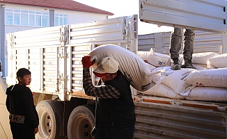 Büyükşehirden, 68 üreticiye 2061 çuval daha süt yemi desteği