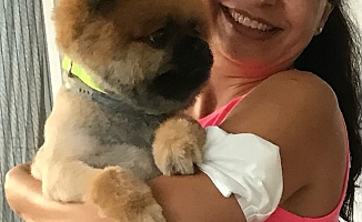 Pandemide sahiplenmesi için verdiği köpeği geri alıp vermedi, mahkemeden emsal karar çıktı