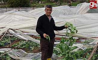 Alanya'da hortum 250 dönümden fazla seraya zarar verdi