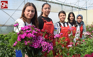 Tarım Lisesi öğrencileri ilk defa kesme çiçek yetiştirdi