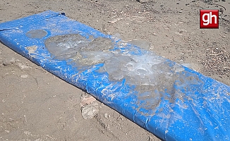 Antalya'da deniz kıyılarında tedirgin eden görüntü