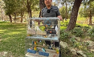 Antalya’da papağan operasyonu