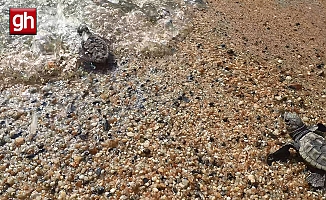 'Telefonunuzun ışığını açmayın' uyarısı!