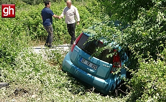 Böğürtlenler şarampole inen otomobile hava yastığı oldu!