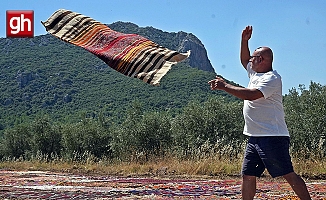 ABD'deki binlerce halı meraklısının gözü bu tarlada