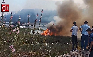Aksu'da orman yangını kontrol altına alındı