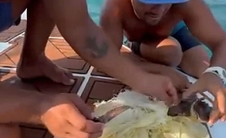 Alanya'da çuvala dolanan caretta caretta yavrusu kurtarıldı