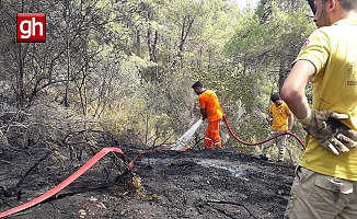  Antalya Kemer'de çıkan orman yangını kontrol altına alındı