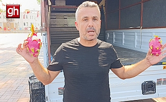 Aracılara kızan üretici 2 bin adet Ejder meyvesini bedava dağıttı
