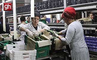  Batı Akdeniz'de ihracat yaklaşık 2 milyar dolara ulaştı