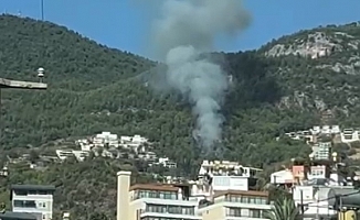 Alanya'da orman yangını