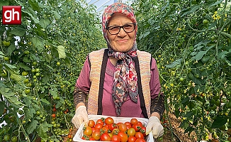75 yaşında ve hala serada çalışıyor: “Azmin yaşı yok”