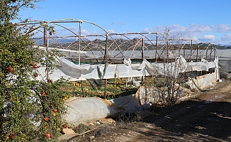 Fırtına ve hortum sonrası Antalya'da hasar tespiti sürüyor