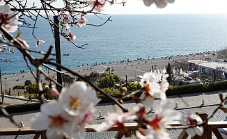 Antalya şubatta baharı yaşadı