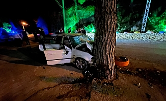 Virajı alamadı ağaca çarptı!