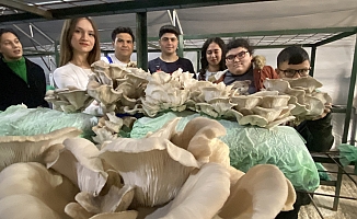 Aksu'da Tarım lisesi öğrencileri, özel eğitim öğrencileriyle mantar hasadı yaptı
