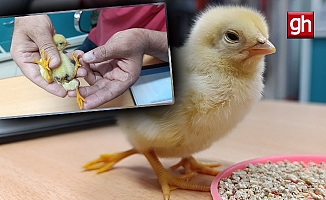 Görenleri hayrete düşürdü!
