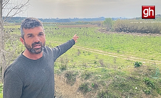 Keçilerini otlatan çobana silahlı saldırı