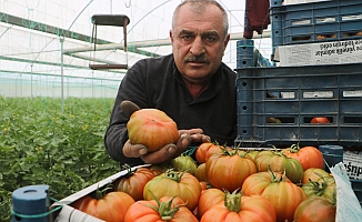 "Serada 28 TL, marketlerde 60 TL’yi buluyor"