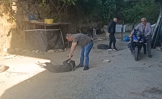 Böylesi ilk defa görüldü, motosikletini sakladığı yer jandarmayı bile şaşkına çevirdi