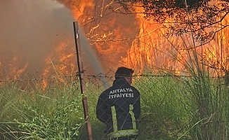  Antalya'da itfaiye erleri alevlerle burun buruna kaldı, bir adım geri atmadılar