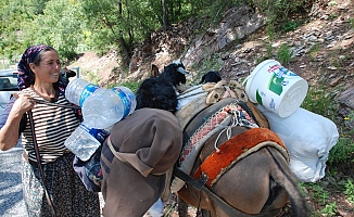Antalya'da Yörüklerin yayla serüvenleri başladı