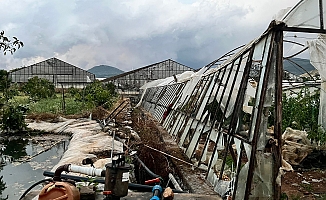 Gazipaşa'da hortum seraları vurdu, çatıları uçurdu