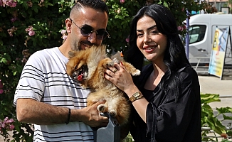 Sahipleri sevince boğuldu!
