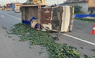 Salatalık yüklü kamyonet devrildi: Salatalıklar yola savruldu