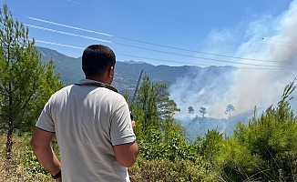 Alanya'daki yangınını kontrol altına alınması çalışmaları devam ediyor