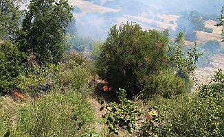 Antalya'da ormanı tehdit eden yangın!