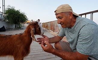 Hemcinsleri bıçak altına yatarken o deniz keyfi yaptı
