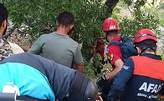 Ihlamur toplarken kayalıklardan düşen emekli polis hayatını kaybetti