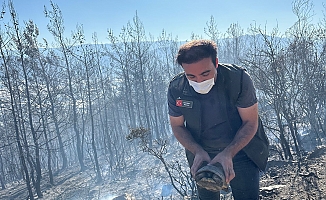 Kaplumbağayı alevlerin arasından kurtardı