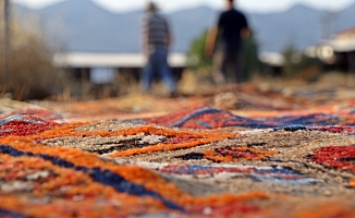 Tarlalarda milyonluk halı nöbeti başladı