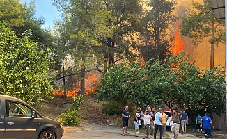 Aksu'da ormanlık alanda yangın paniği