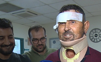 Aslanın saldırısına uğrayan adam taburcu oldu: "Sivrisinekten ısırmasın diye üstümü örttüm, aslan ısırdı"
