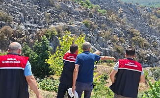 Gazipaşa’da yangın mağduru üreticilerin hasarı tespit edildi
