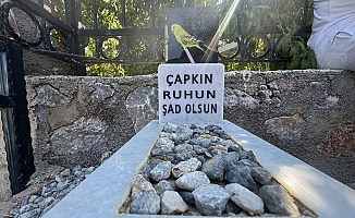 Ölen muhabbet kuşu için mermerden mezar yapıp gömdüler!